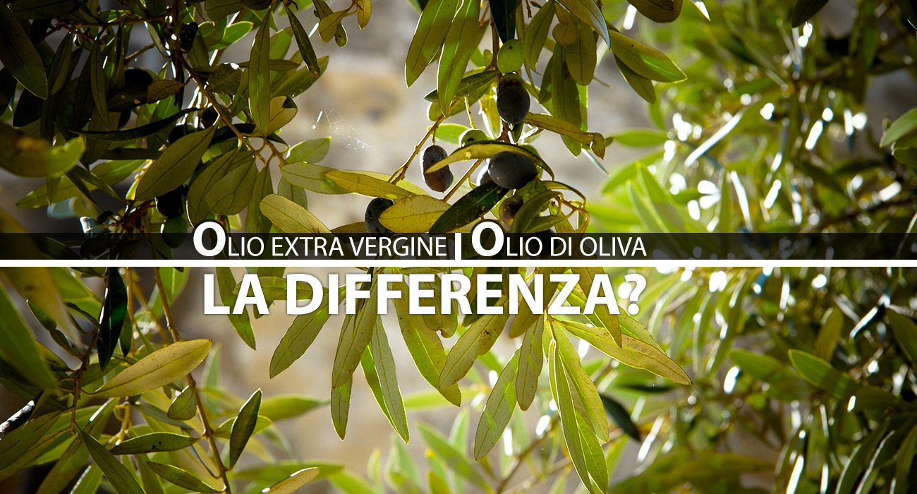 differenza olio d'oliva olio estravergine